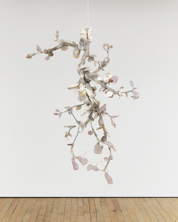 Xenophora IV, 2025

Driftwood, dried seeds, oyster and clam shells, coral, seashell fragments, stone, amethyst, glass, recycled plastic, resin, steel, acrylic paint
121.9 x 114.3 x 91.4 cm
48 x 45 x 36 in - © Paris Internationale