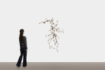 Xenophora IV - © Paris Internationale