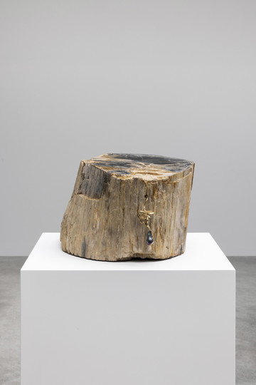 Maria Loboda, Warrior with a Faux Pearl Earring, 2023. Petrified wood, real black pearl, gilded brass, 23.5 × 47 × 35 cm - © Paris Internationale