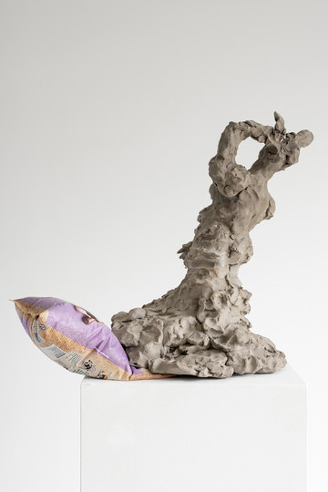 Fainter on posh crisps (Aioli) - © Paris Internationale