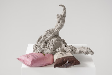 Fainter on posh crisps (Himalayan Salt, Berwick Longhorn Beef) - © Paris Internationale