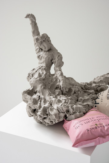 Fainter on posh crisps (Himalayan Salt, Berwick Longhorn Beef) - © Paris Internationale