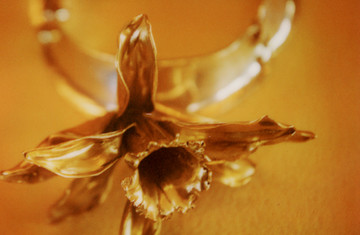 Gabrielle Greiss
'Narcisse' necklace in gilded and silver-plated bronze, edition of 8 - © Paris Internationale