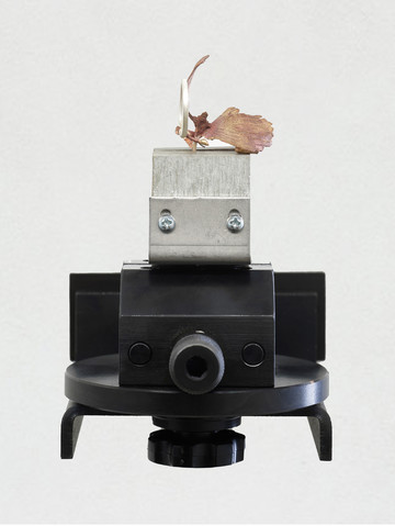 Grant Mooney, Eutectic c. (i), 202 - © Paris Internationale