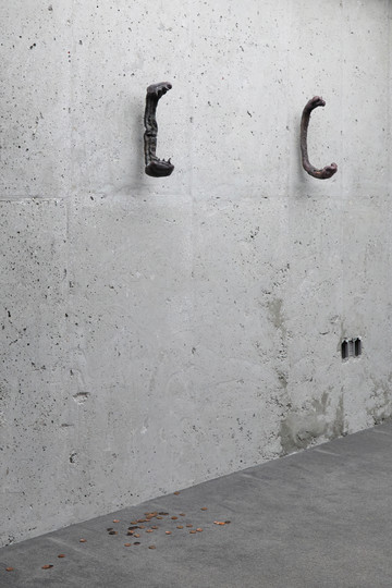 Defleshed - © Paris Internationale