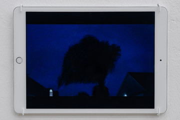 Vijay Masharani, Tree, 2026 Single channel video, runtime 1:02 minutes - © Courtesy: The Artist and Clima, Milan, Paris Internationale