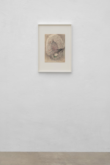 Vijay Masharani, Profile, 2025 - © Paris Internationale