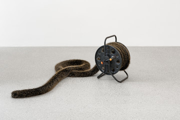 Nicole Wermers, Domestic Tail (black with ginger tips, 9.5m), 2025 Handsewn faux fur tail, polystyrene filling, thread, hose reel, Dimensions variable (55 × 53 × 41 cm with up to 9.5m long tail) - © Photo: Dirk Tacke. Courtesy the artist and Deborah Schamoni., Paris Internationale