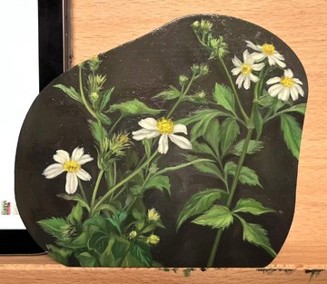 Bidens Pilosa, LIN Shan, 2026. Oil on aluminum, 9.5 × 10.5 cm - © Paris Internationale