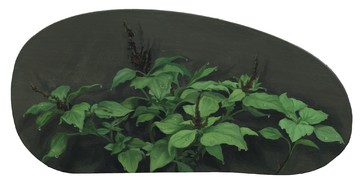 Amaranthus viridis 皱果苋, LIN Shan 林山, 2026. Oil on aluminum 铝板油画, 10 × 21 cm (irregular 尺寸不规则) - © Paris Internationale