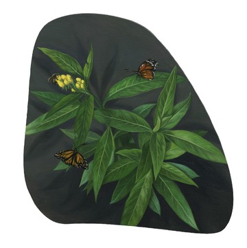Asclepias Curassavica - © Asclepias Curassavica, LIN Shan, 2026. Oil on aluminum, 18 &times; 18 cm, Paris Internationale