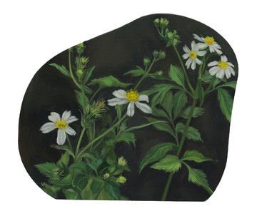 Bidens Pilosa, LIN Shan, 2026. Oil on aluminum, 9.5 × 10.5 cm - © Photo credit: Courtesy of The artist and Don Gallery, Paris Internationale