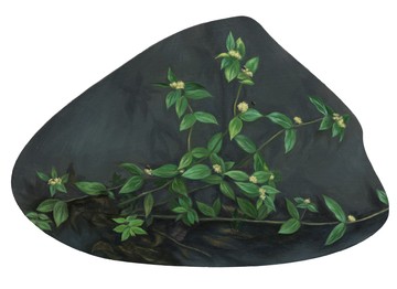 Euphorbia hirta, LIN Shan, 2026. Oil on aluminum, 14.5 × 21.5 cm - © Paris Internationale