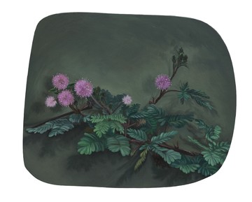 Mimosa 含羞草, LIN Shan 林山, 2026. Oil on aluminum 铝板油画, 20 × 24 cm (irregular 尺寸不规则) - © Paris Internationale