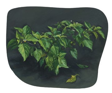 Solanum americanum 少花龙葵, LIN Shan 林山, 2026. Oil on aluminum 铝板油画, 19 × 24 cm (irregular 尺寸不规则) - © Paris Internationale