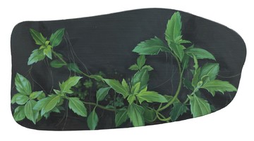 Tridar procumbens, LIN Shan, 2026. Oil on aluminum, 10.5 × 20 cm - © Paris Internationale