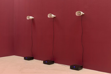 Clarissa Baldassarri, Three of one, 2026, 3 channel sound installation, speakers and amplifiers - © Paris Internationale