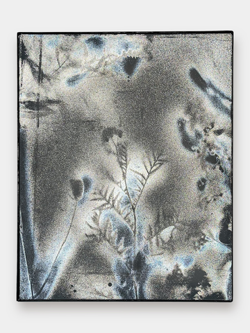 Shadow Bloom (Ⅰ) - © Paris Internationale