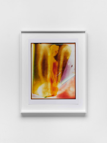 Handmade analog c-print - 49 x 39.5 cm - © Photo by Marjorie Plaza Brunet, Courtesy the artist and Galerie Molitor
Berlin, Paris Internationale