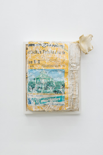Angelika Loderer
1995 (2), 2025
mycelium, paper, wooden frame
33.8 x 23.8 x 10 cm - © Paris Internationale
