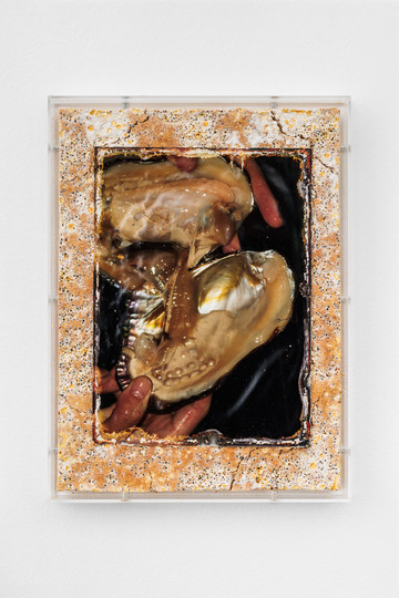 Angelika Loderer 
Exposure (2), 2024
plexiglass and c-print, wood, mushroom mycelium 37 x 28 x 4 cm - © Paris Internationale