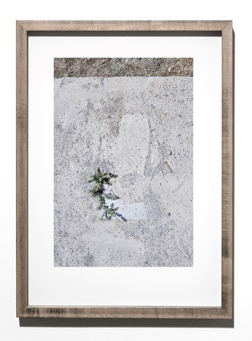 Shadi Harouni_Sunken Garden: Beheshte Zahra Cemetary, Section 33 #4 - © courtesy Tiziana Di Caro and the artist, Paris Internationale