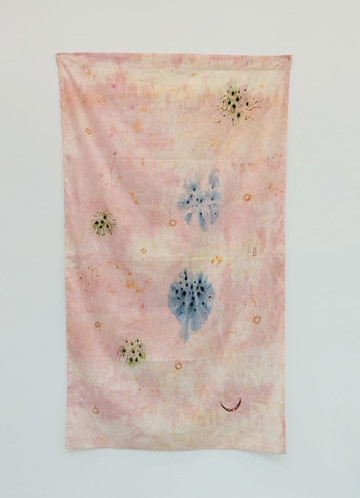 Acrylic ink, acrylic paint, saffron, madder Root pigment, Red Ochre pigment and soft pastels on cotton cm 180 x 114 - © Courtesy the artist and Vistamare Milan/Pescara, Paris Internationale
